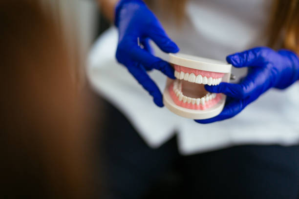 Professional Dental Services in Peoria Heights, IL